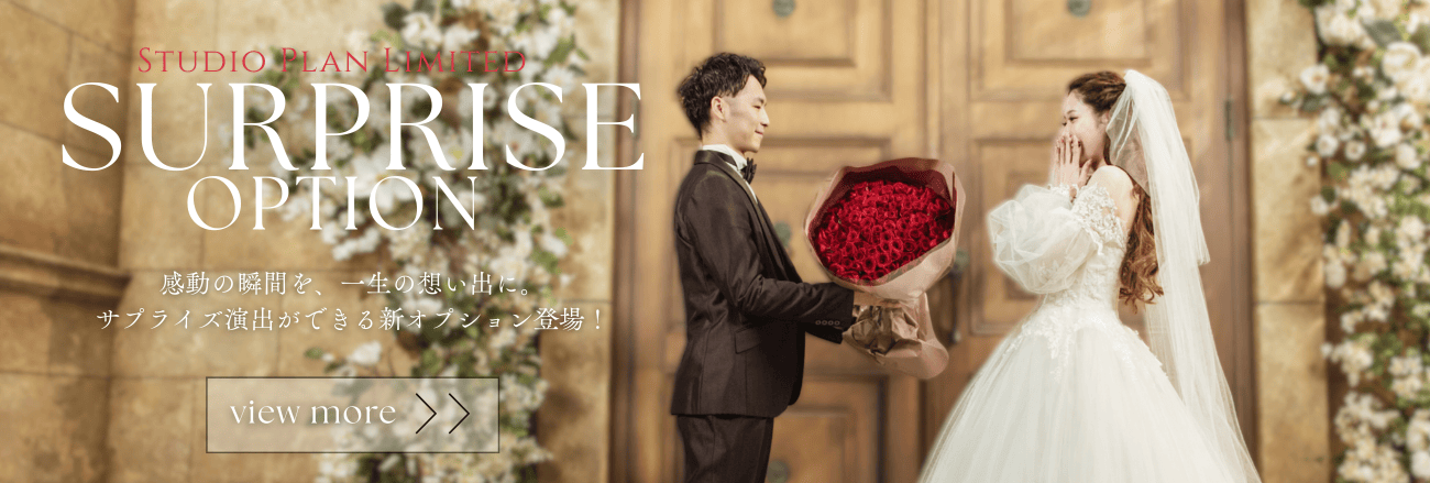 サプライズプラン
